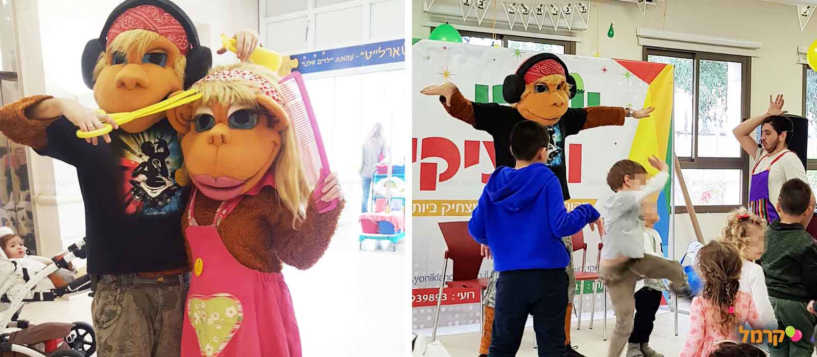 הקופים שולה ושימי - 073-7586526