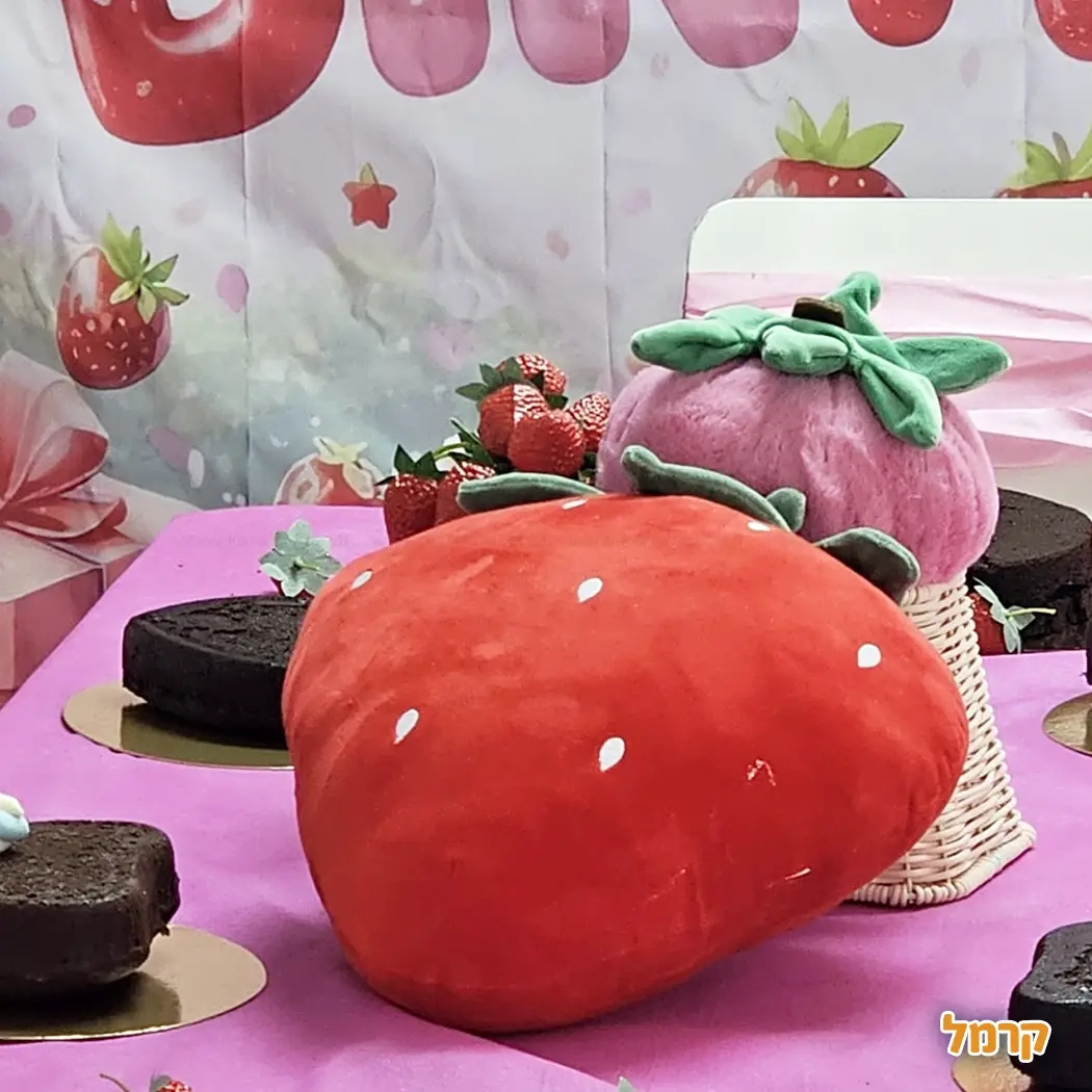 My Cake - העוגה שלי הסדנה שלך  - 073-7837689