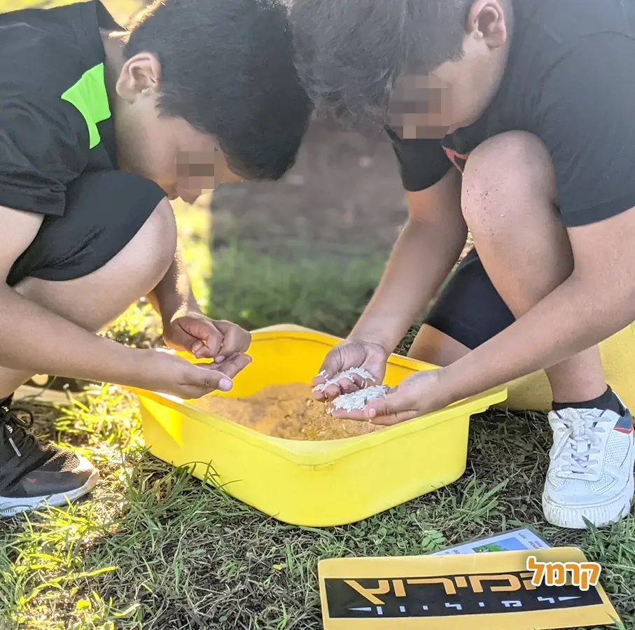 האי של יעל - המירוץ למליון - 073-7842346