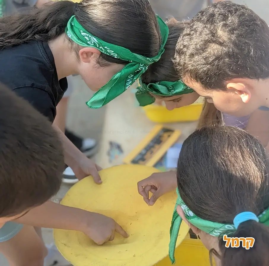 האי של יעל - המירוץ למליון - 073-7842346