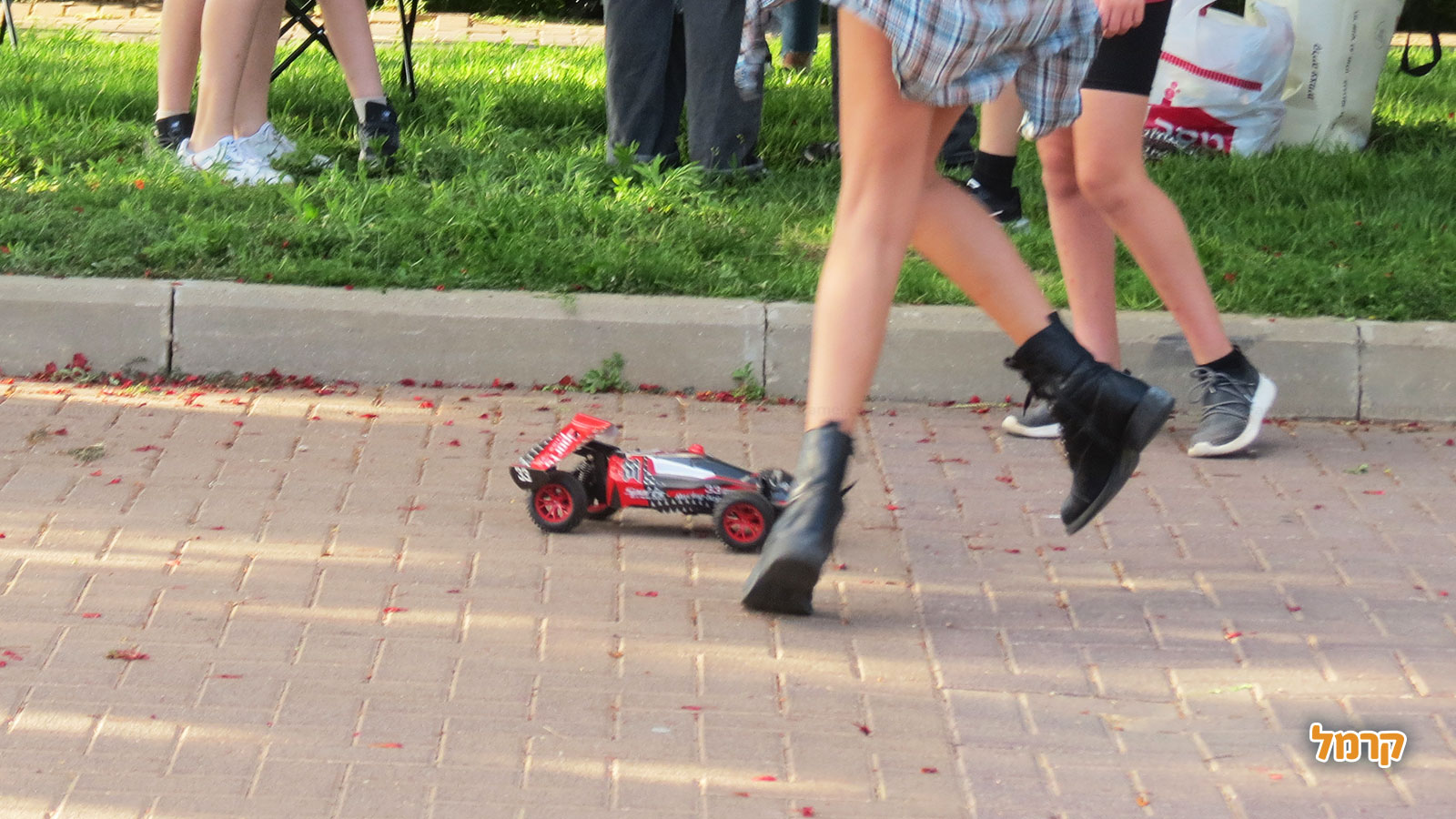 דרייב פאן - סימולטור וגיימינג - 073-7814869