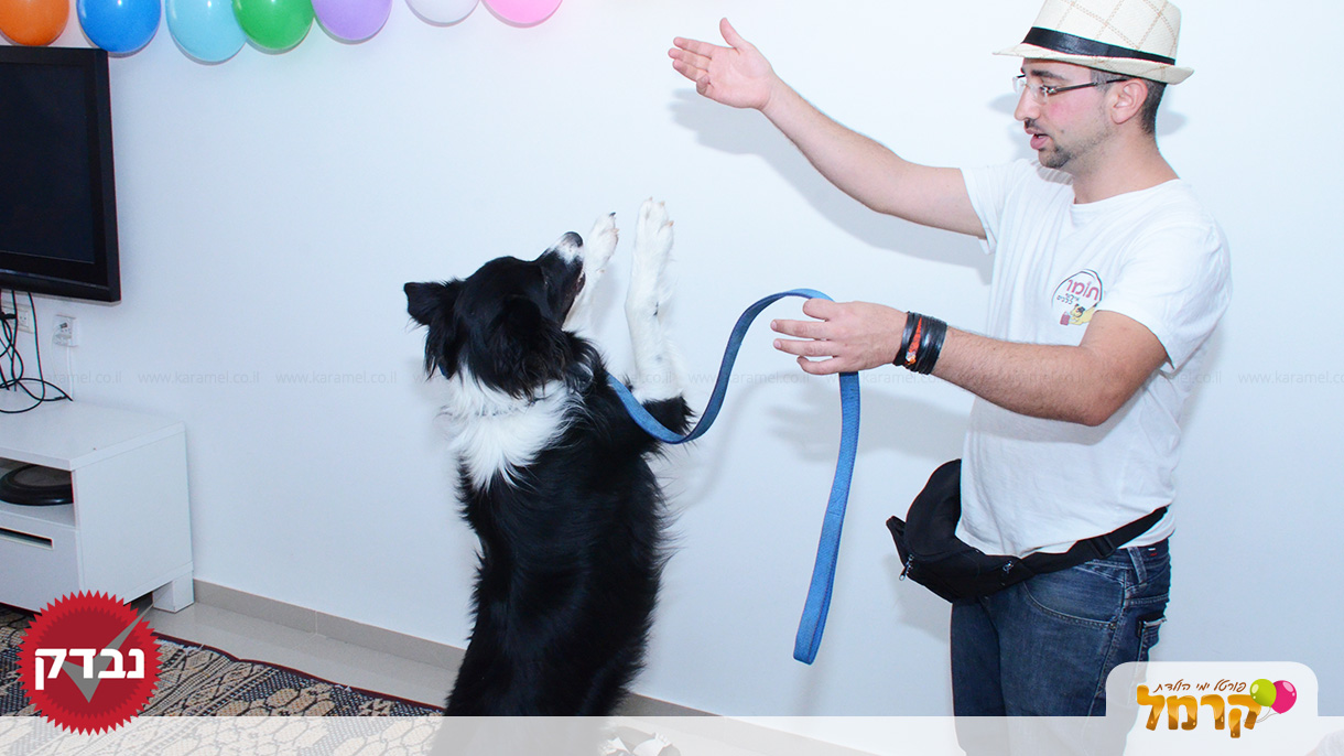 עולם הכלבים של תומר - 073-7585455