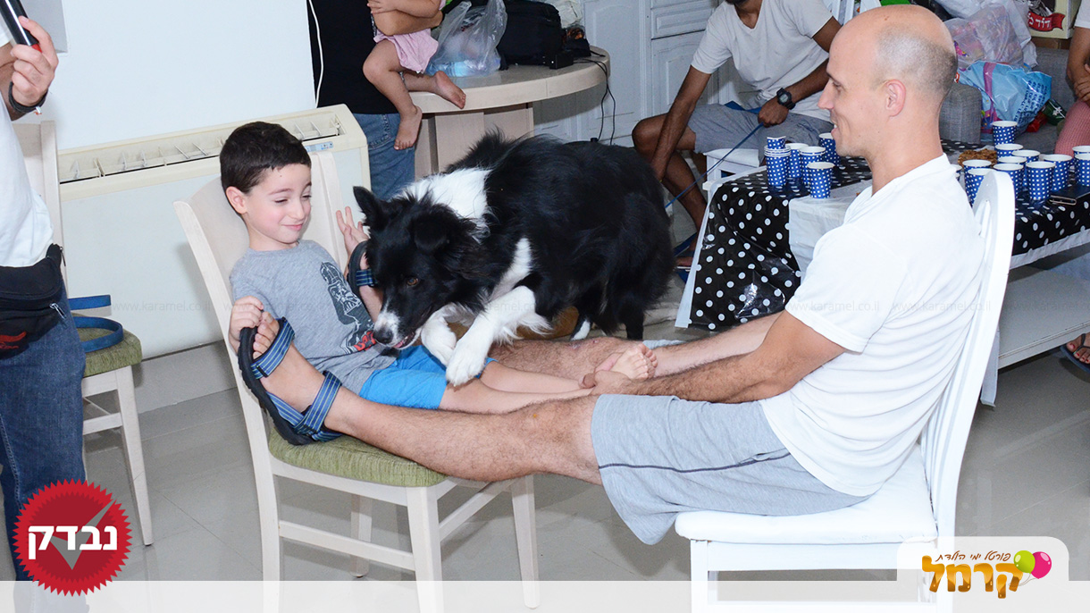 עולם הכלבים של תומר - 073-7585455