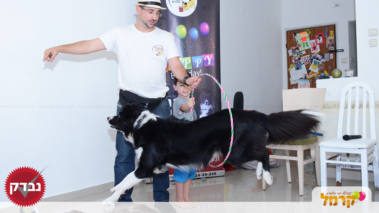 עולם הכלבים של תומר - 073-7585455