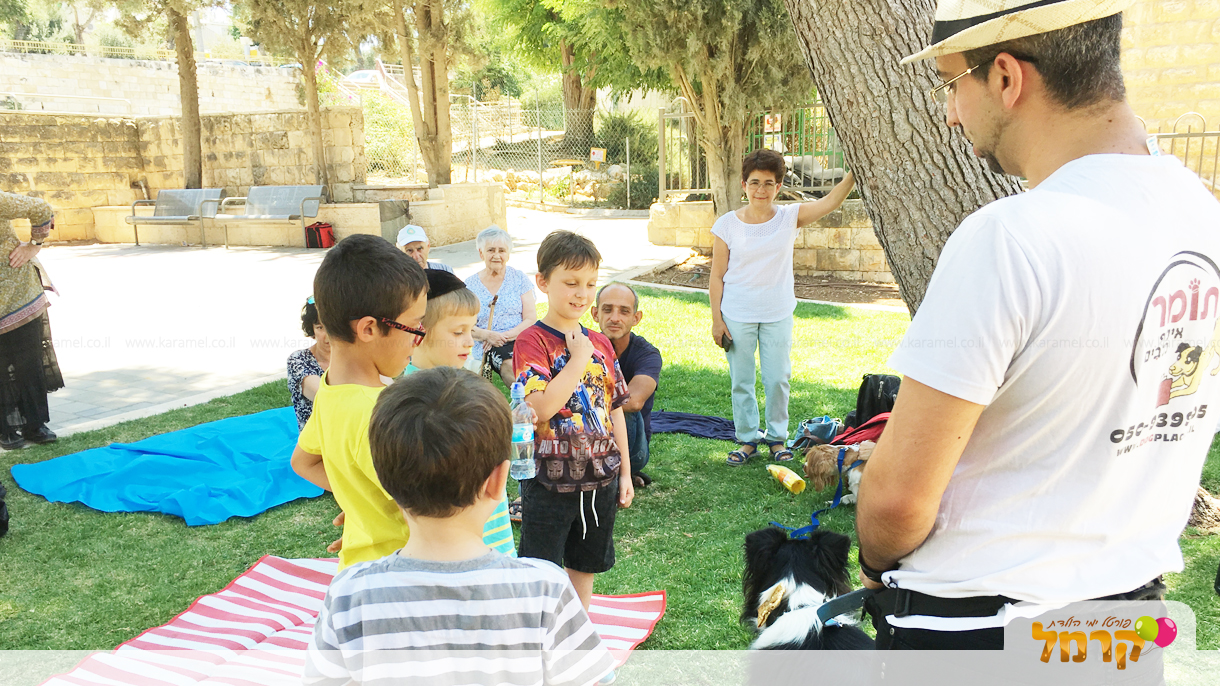 עולם הכלבים של תומר - 073-7585455