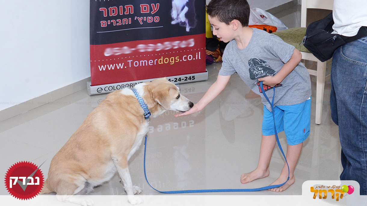 עולם הכלבים של תומר - 073-7585455