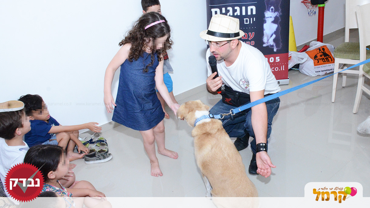 עולם הכלבים של תומר - 073-7585455